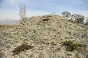 باغ ملی گیاه شناسی تهران